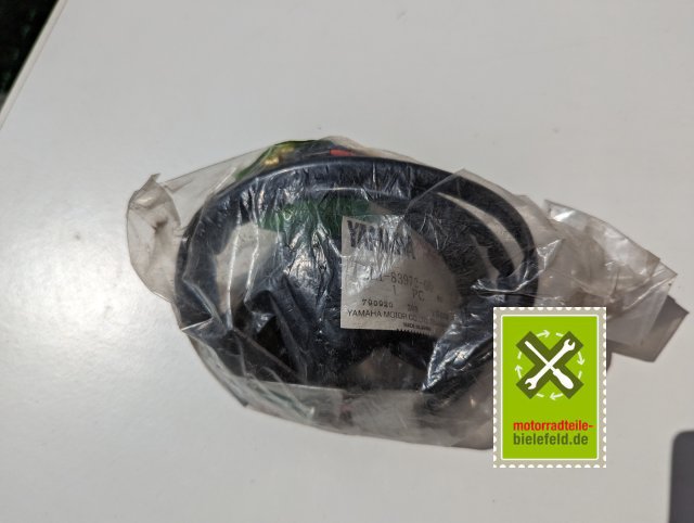 PXL_20240523_111921246